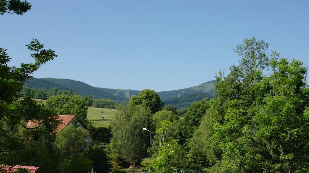 Domki Pod Jesionami Villa Stronie Slaskie Bagian luar foto